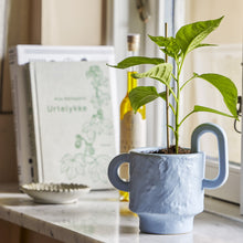 Load image into Gallery viewer, Alfine flowerpot - blue