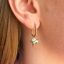 Load image into Gallery viewer, Everyday oval dalmatian jasper earrings