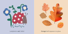 Load image into Gallery viewer, Mini touch book: nature