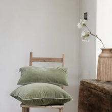 Load image into Gallery viewer, Misi velvet cushions