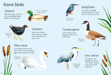 Load image into Gallery viewer, Nature spotting book