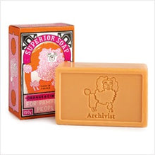 Load image into Gallery viewer, Orange & cinnamon hand soap