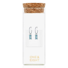 Load image into Gallery viewer, Silver treasured hoop earrings