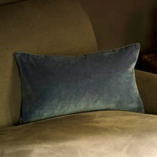 Load image into Gallery viewer, Misi velvet cushions