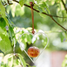 Load image into Gallery viewer, Apple bird feeders