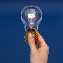 Load image into Gallery viewer, Cordless lightbulbs