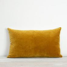 Load image into Gallery viewer, Misi velvet cushions