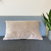 Load image into Gallery viewer, Misi velvet cushions