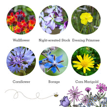 Load image into Gallery viewer, Wildlife collection gift seed boxes