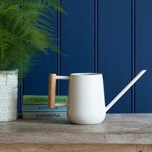 Load image into Gallery viewer, Indoor watering can - stone