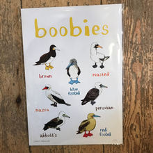 Load image into Gallery viewer, Boobies A4 print