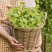 Load image into Gallery viewer, Basket - rattan

