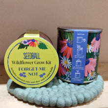 Load image into Gallery viewer, Wildflower grow kit - forget me not
