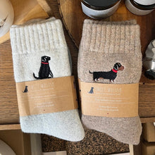 Load image into Gallery viewer, Dog walker socks - dachshund
