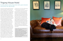 Load image into Gallery viewer, Dog friendly Britain book
