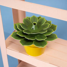 Load image into Gallery viewer, Make your own mindful succulent
