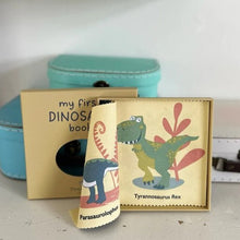 Load image into Gallery viewer, My first dinosaur rag book
