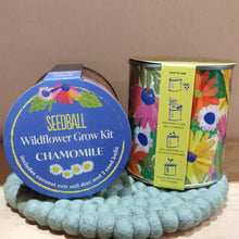 Load image into Gallery viewer, Wildflower grow kit - chamomile
