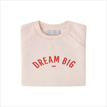 Load image into Gallery viewer, Dream big sweatshirt - powder pink
