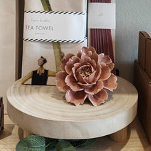Load image into Gallery viewer, Coral 5 - rose pink

