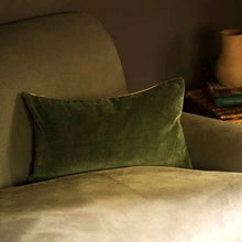 Load image into Gallery viewer, Misi velvet cushions
