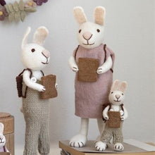 Load image into Gallery viewer, White bunny with lavender dress &amp; book - large
