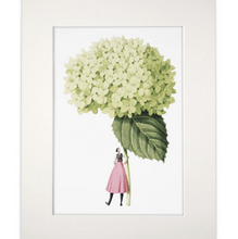 Load image into Gallery viewer, Hydrangea Annabelle mounted print
