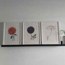 Load image into Gallery viewer, Mounted print - ammi 'in bloom'
