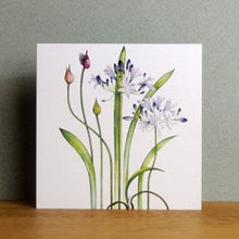 Load image into Gallery viewer, Agapanthus card
