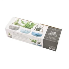 Load image into Gallery viewer, Hanging pots - baby dotty trio
