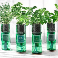 Load image into Gallery viewer, Hydro-herb kits - various herbs
