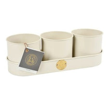 Load image into Gallery viewer, Herb pots - buttermilk
