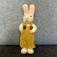Load image into Gallery viewer, White bunny with rose skirt &amp; jacket
