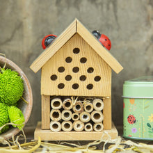 Load image into Gallery viewer, Make your own insect house in a tin
