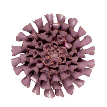 Load image into Gallery viewer, Coral 8 - large - lilac
