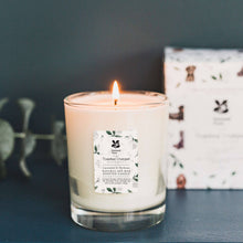 Load image into Gallery viewer, Lavender &amp; verbena glass candle &amp; seed packet
