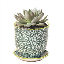 Load image into Gallery viewer, Liberte 3 - pot &amp; sauce - green leaves
