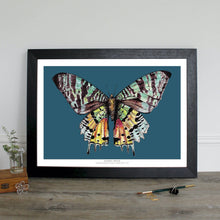 Load image into Gallery viewer, Dragonfly - digital print

