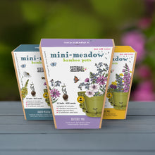 Load image into Gallery viewer, Mini meadow pots
