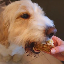 Load image into Gallery viewer, Paw-licking doggy carrot cake mix in a bottle
