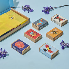 Load image into Gallery viewer, Wildlife collection gift seed boxes
