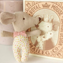 Load image into Gallery viewer, Baby mouse sleepy/wakey in box - blue
