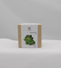 Load image into Gallery viewer, Wooden stegosaurus
