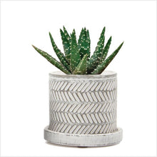 Load image into Gallery viewer, Balter pot (with drainage) - white leaves
