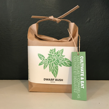 Load image into Gallery viewer, Cultivate &amp; eat - dwarf basil
