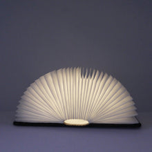 Load image into Gallery viewer, Mini brown leather smart book light
