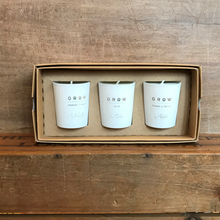 Load image into Gallery viewer, Grow candle trio
