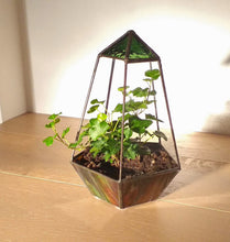 Load image into Gallery viewer, The Thomas - handmade stained glass terrarium
